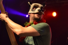 Sonnberger_Sommerfest_2015_Part2 (91)